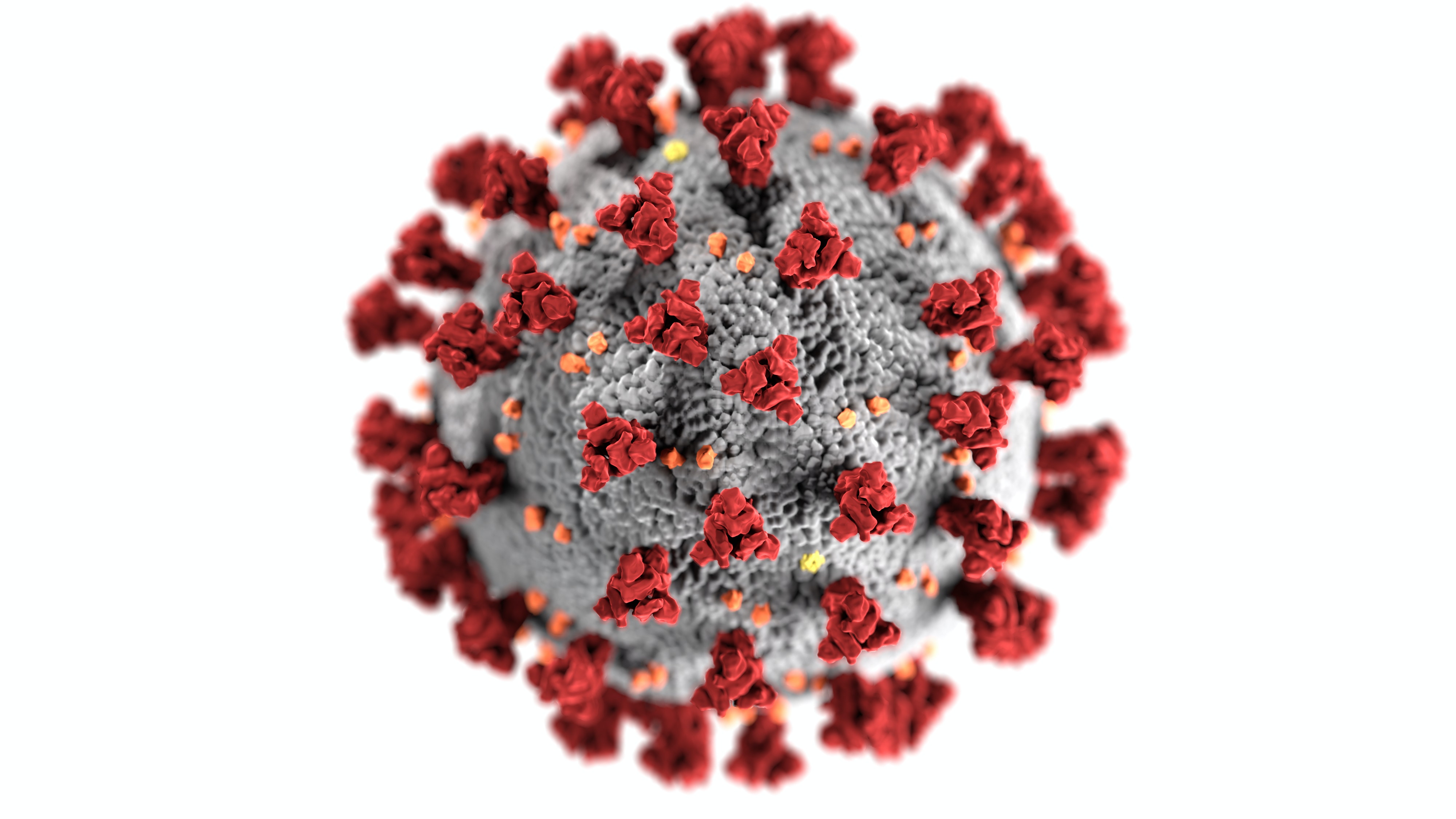 coronavirus return to work image